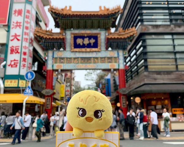 福岡市早良区有田アン・シャーリーこども園と栄光保育園は保育士のプライベートも充実